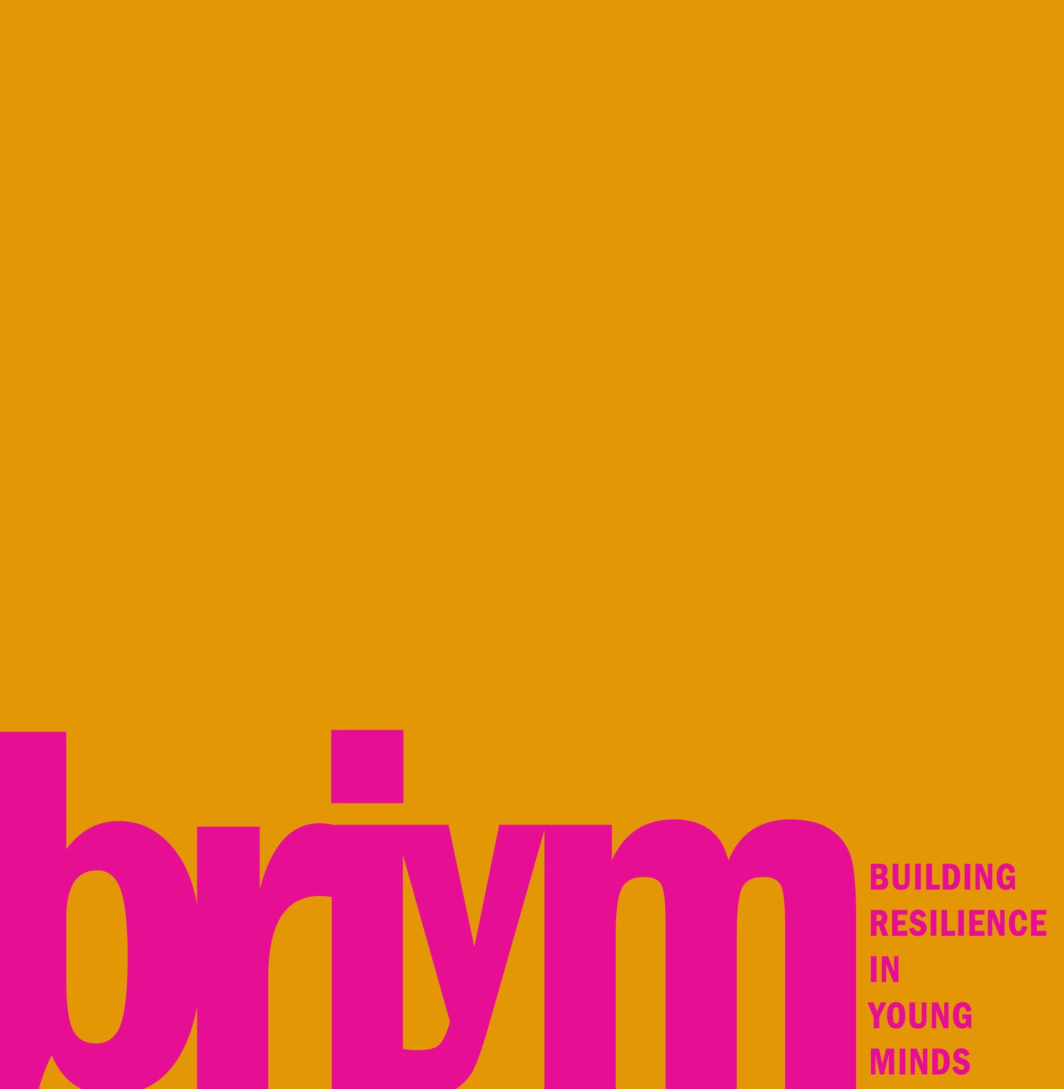BRIYM (Building resilience in young minds)